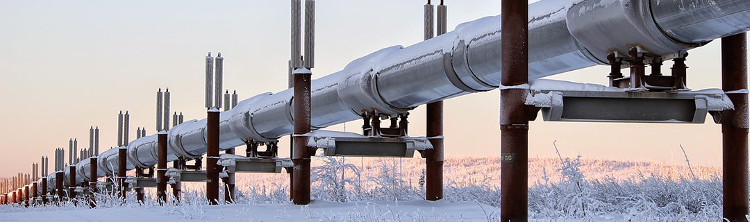 Area monitor Radius BZ1